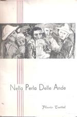 Nella Perla Delle Ande
