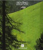 Trentino - Immagine E Realtà