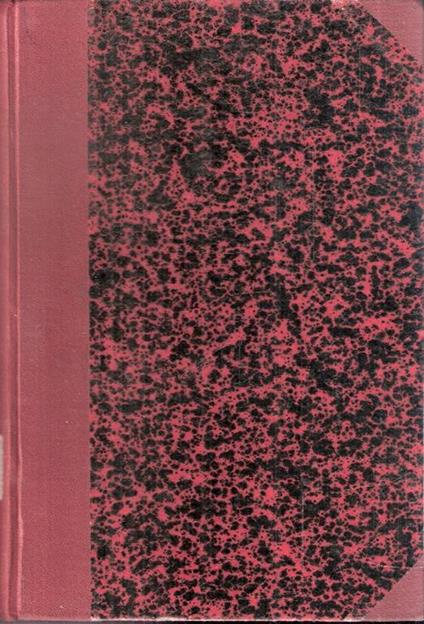 Pater (Don Bosco, Il Santo Dei Birichini) - Domenico Bulgarini - copertina