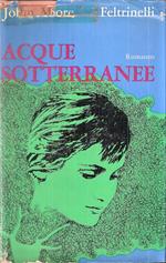 Acque Sotterranee