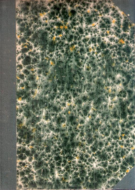 Libroteka di Fattoretti Silvia