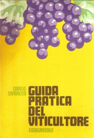 Libroteka di Fattoretti Silvia
