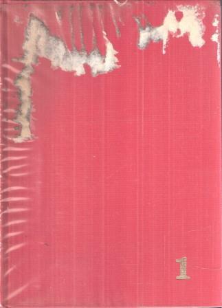 Libroteka di Fattoretti Silvia