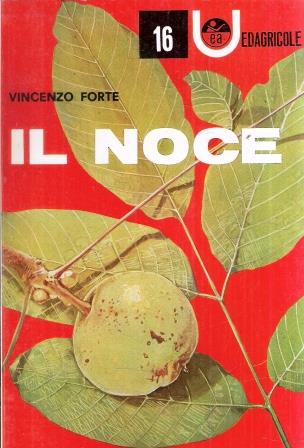Libroteka di Fattoretti Silvia
