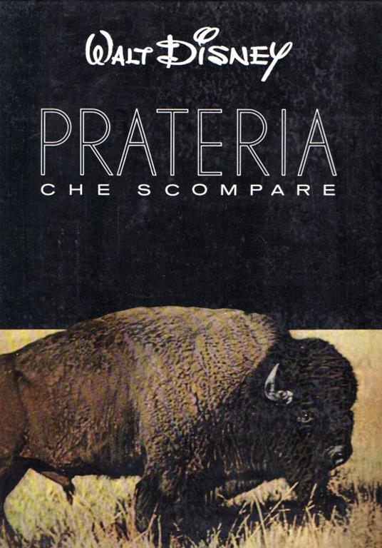 Libroteka di Fattoretti Silvia