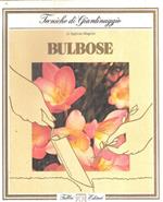 Bulbose