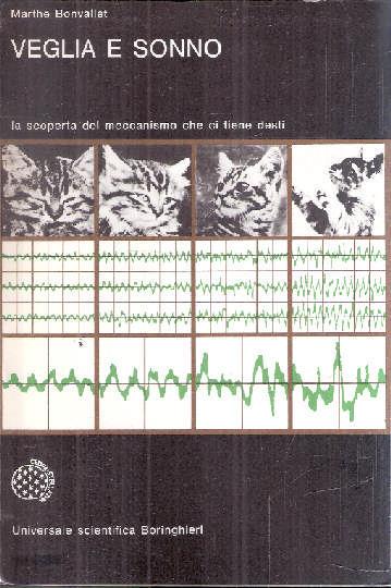 Libroteka di Fattoretti Silvia
