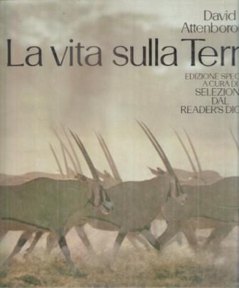 Libroteka di Fattoretti Silvia