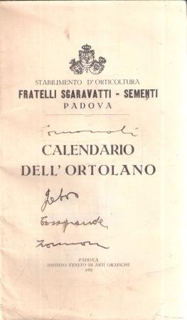 Libroteka di Fattoretti Silvia