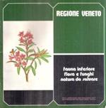 Fauna Inferiore Flora E Funghi Natura Da Salvare