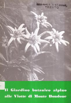 Libroteka di Fattoretti Silvia