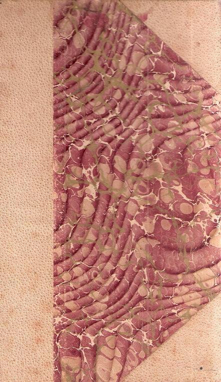 Le Teorie Dell'evoluzione. Lettere Di Un Cappellano Esposto Di Montagna Ad Un Suo Allievo Studente - copertina