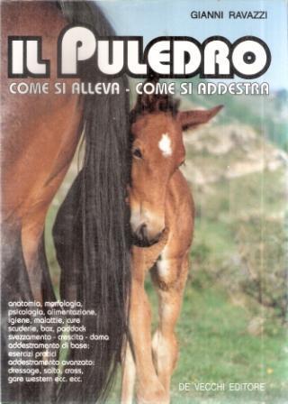 Il puledro - Gianni Ravazzi - copertina