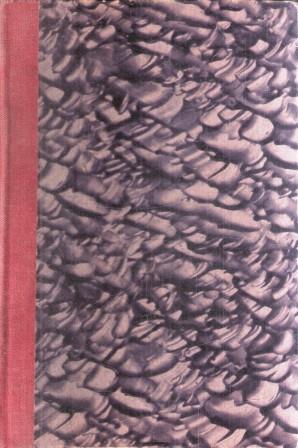 Libroteka di Fattoretti Silvia