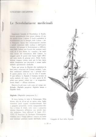 Le Scrofulariacee Medicinali - Vincenzo Chiappini - copertina