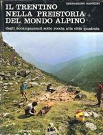 Il Trentino Nella Preistoria Del Mondo Alpino Dagli Accampamenti Sotto Roccia Alla Città Quadrata