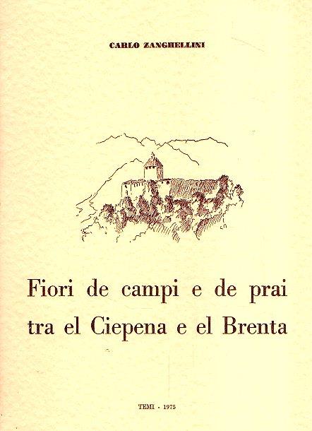 Libroteka di Fattoretti Silvia