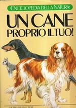Un Cane Proprio Il Tuo!