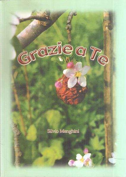 Grazie a te - copertina
