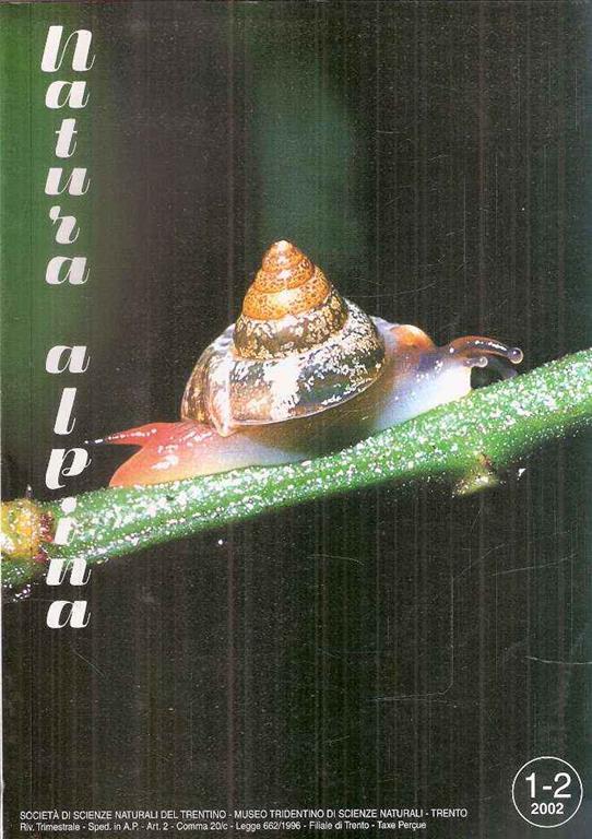 Libroteka di Fattoretti Silvia