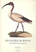 Gli uccelli in Egitto