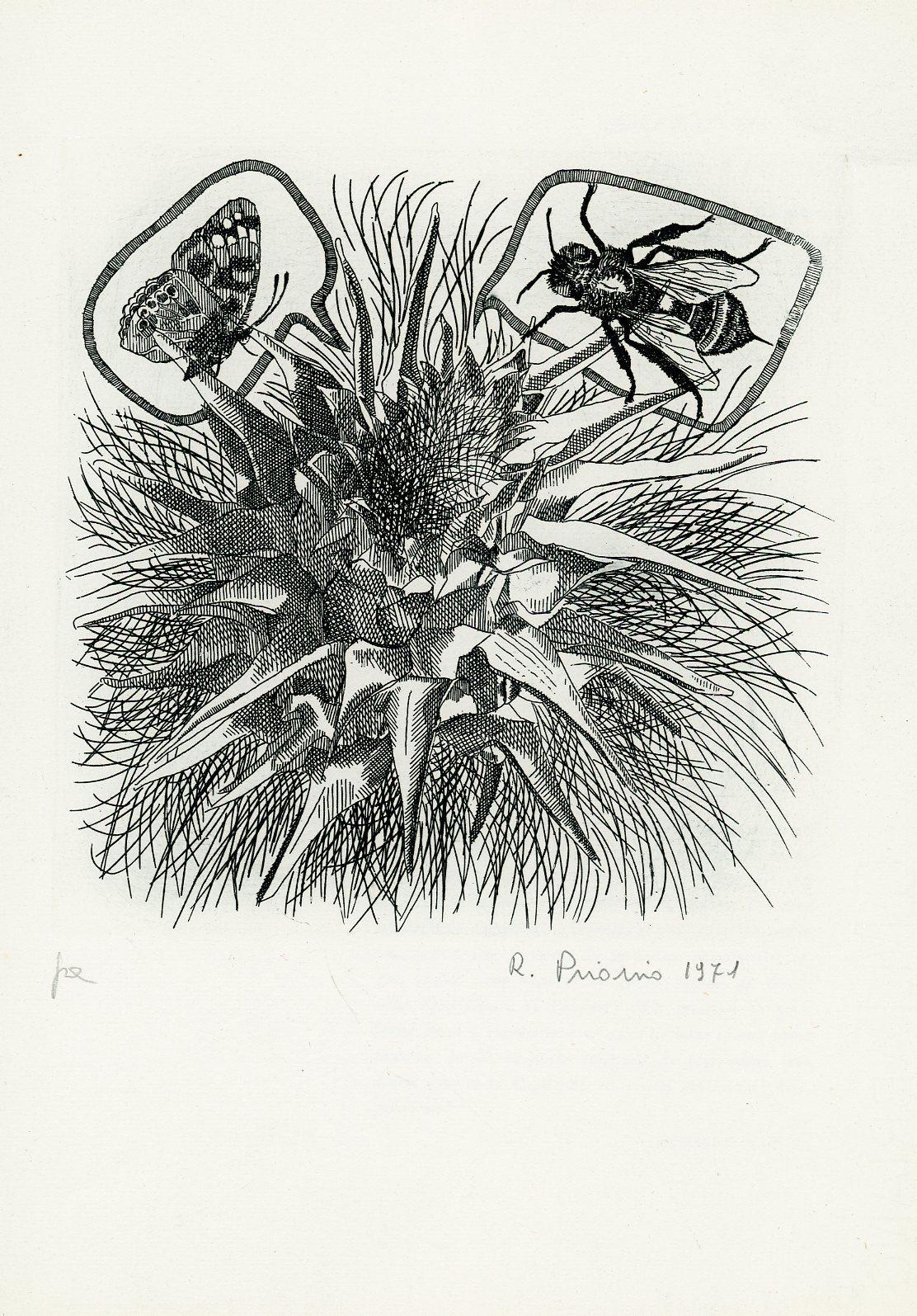 Studio Bibliografico Marini