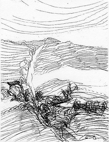 L' Incisione. 1972, N. 12 - 2