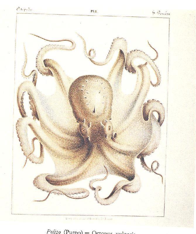 Studio Bibliografico Marini