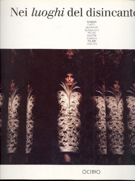 Nei luoghi del disincanto - copertina