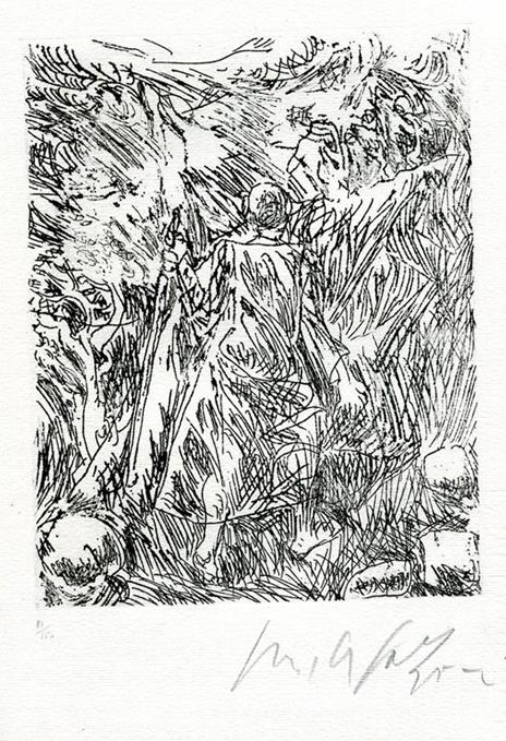 Terrasanta - Giovanni Fallani - 2