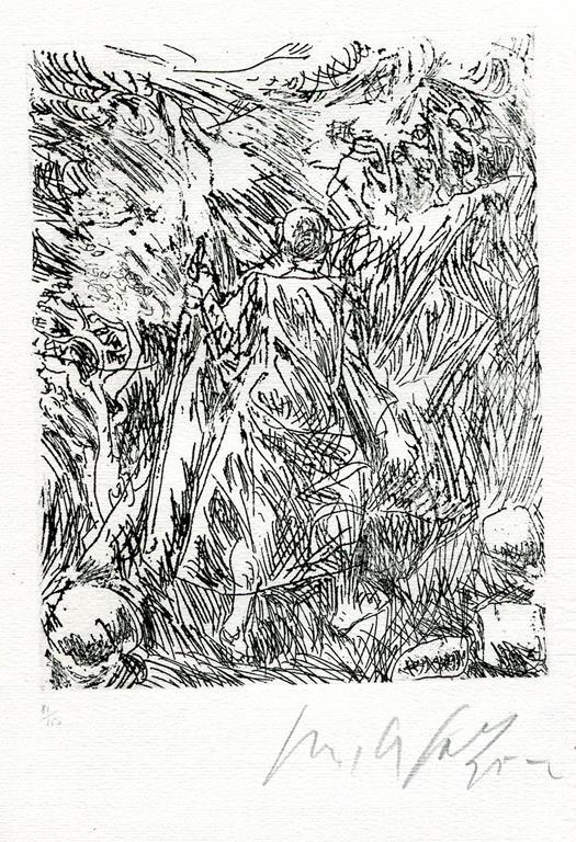 Terrasanta - Giovanni Fallani - 2