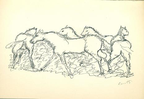 Disegni di Giuseppe Cesetti - Giuseppe Cesetti - 5