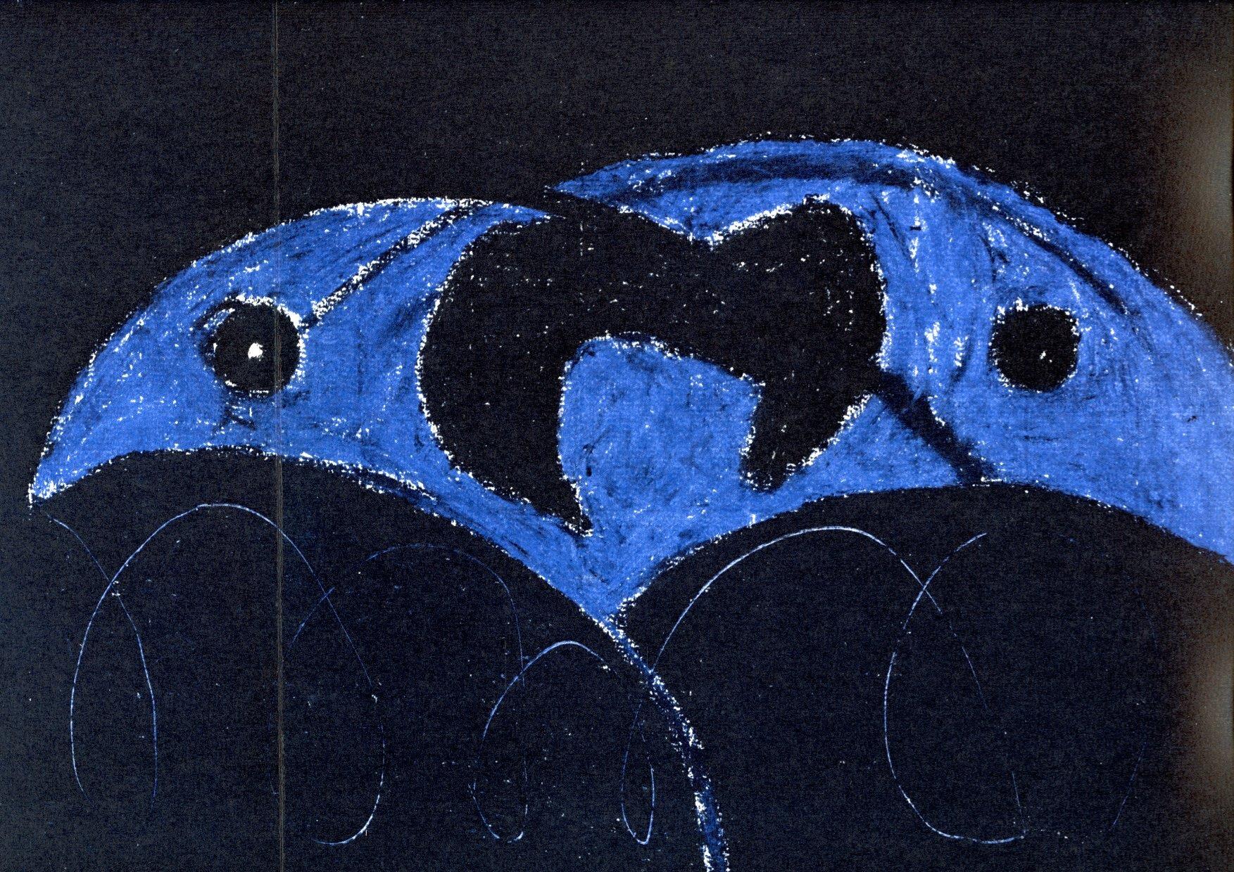 Personaggi Metamorfosi Paesaggi