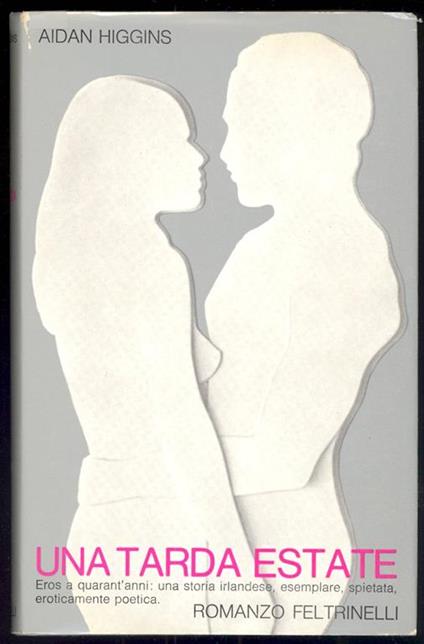 Una tarda estate - Aidan Higgins - copertina