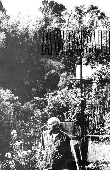 Marcello Avenali - Armando Ginesi - copertina