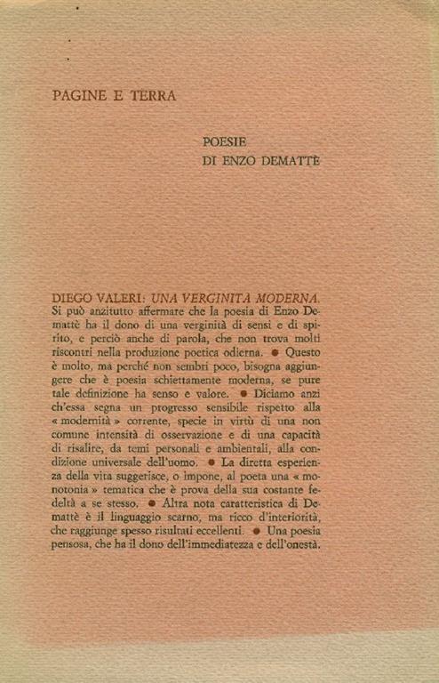 Pagine e terra - Enzo Demattè - copertina