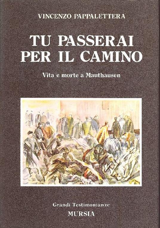 Tu passerai per il camino - Vincenzo Pappalettera - copertina