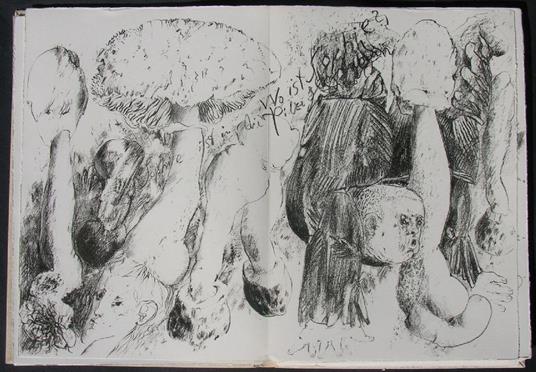 Mit Sophie in die Pilze gegangen - Günter Grass - 4