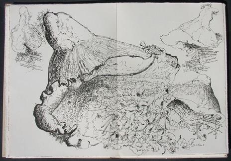 Mit Sophie in die Pilze gegangen - Günter Grass - 6