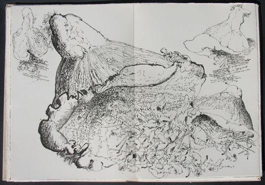 Mit Sophie in die Pilze gegangen - Günter Grass - 6