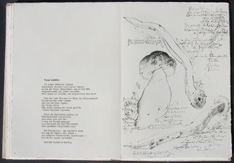 Mit Sophie in die Pilze gegangen - Günter Grass - 8