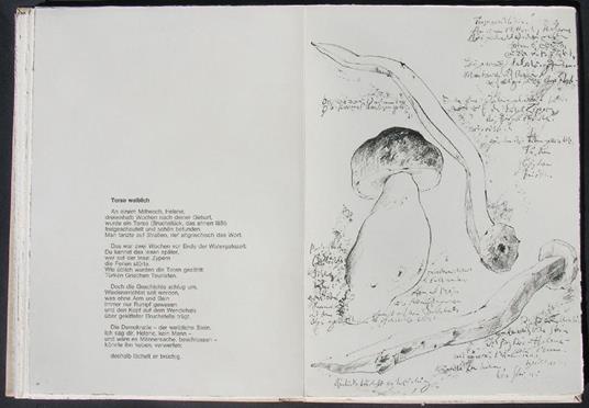 Mit Sophie in die Pilze gegangen - Günter Grass - 8