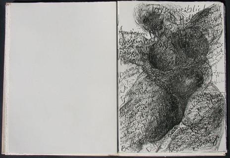 Mit Sophie in die Pilze gegangen - Günter Grass - 10