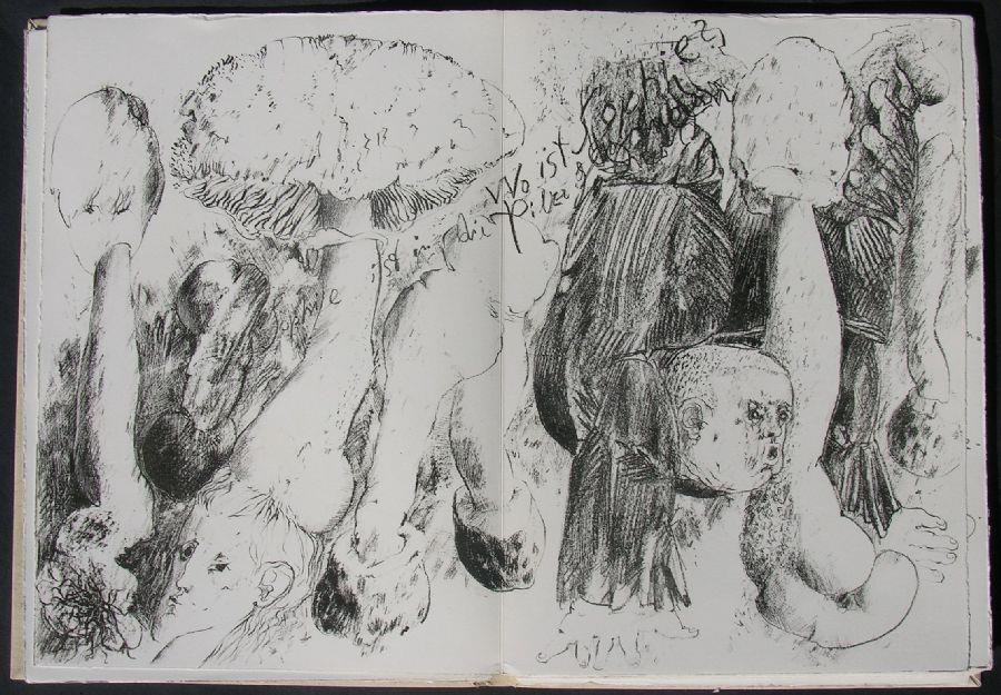 Mit Sophie in die Pilze gegangen