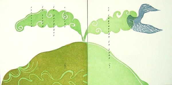 Senza costrutto andando per colline