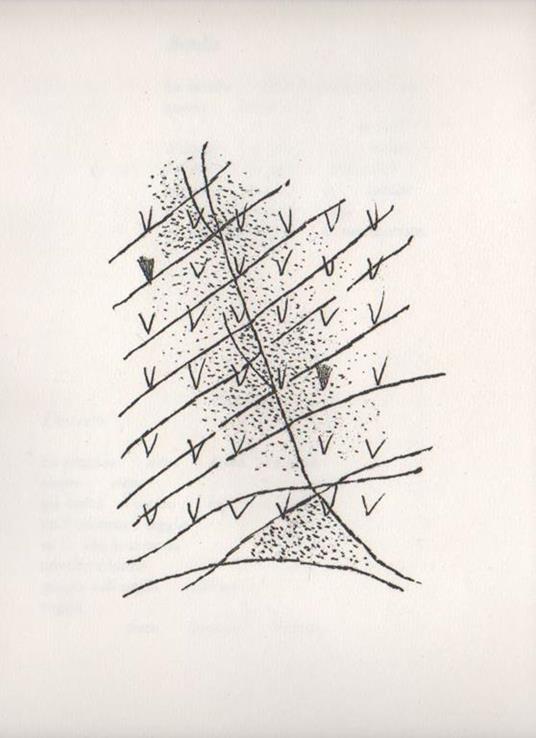 Staras - Guido Ballo - 5