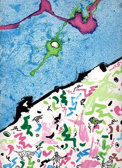 Frammenti da giardino