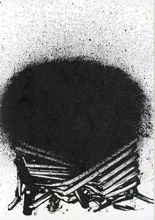 Ipotesi dell'ospite inatteso - Roberto Sanesi - 4