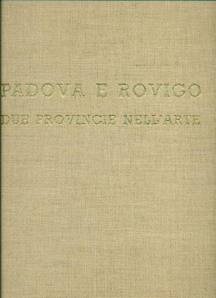 Padova e Rovigo due provincie nell'arte - Camillo Semenzato - copertina