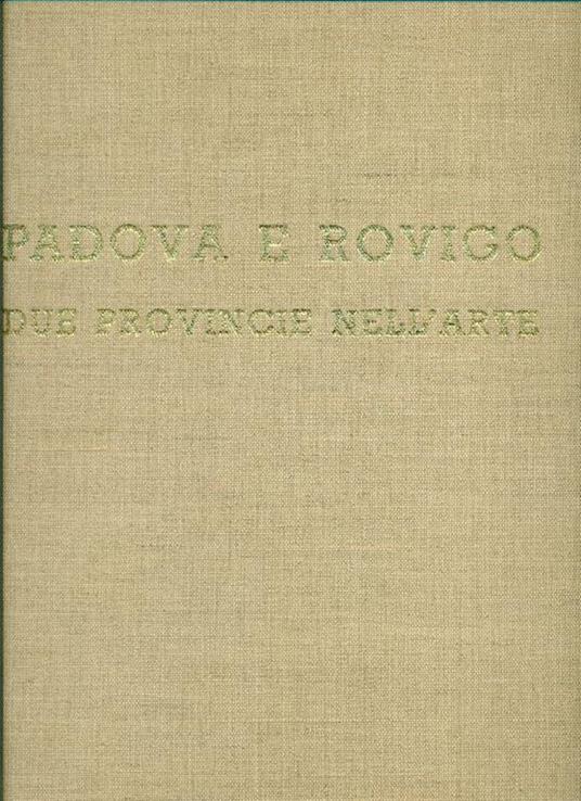 Padova e Rovigo due provincie nell'arte - Camillo Semenzato - copertina